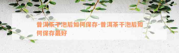 普洱茶干泡后如何保存-普洱茶干泡后如何保存最好