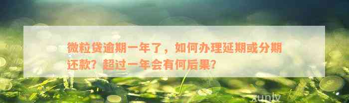 微粒贷逾期一年了，如何办理延期或分期还款？超过一年会有何后果？