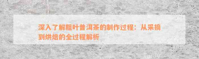 深入了解粗叶普洱茶的制作过程：从采摘到烘焙的全过程解析