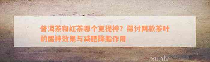 普洱茶和红茶哪个更提神？探讨两款茶叶的醒神效果与减肥降脂作用