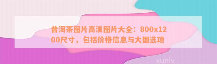 普洱茶图片高清图片大全：800x1200尺寸，包括价格信息与大图选项