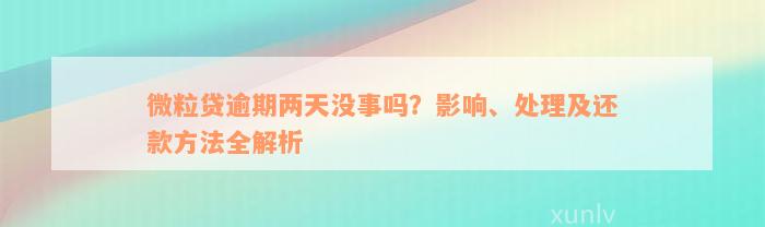 微粒贷逾期两天没事吗？影响、处理及还款方法全解析