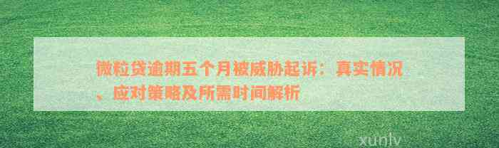 微粒贷逾期五个月被威胁起诉：真实情况、应对策略及所需时间解析