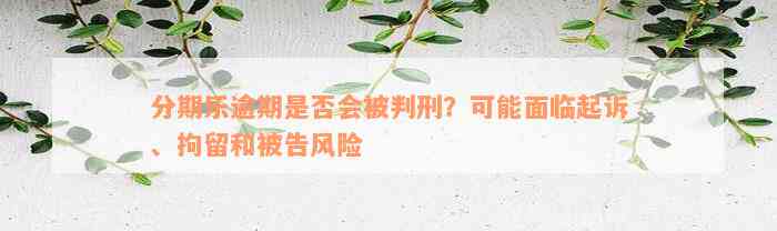 分期乐逾期是否会被判刑？可能面临起诉、拘留和被告风险