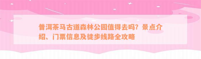 普洱茶马古道森林公园值得去吗？景点介绍、门票信息及徒步线路全攻略