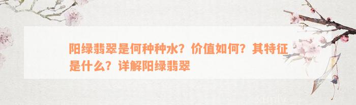 阳绿翡翠是何种种水？价值如何？其特征是什么？详解阳绿翡翠