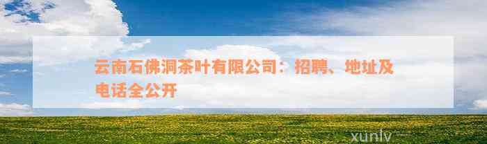 云南石佛洞茶叶有限公司：招聘、地址及电话全公开