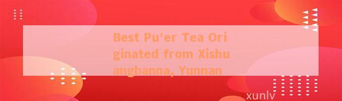 Best Pu'er Tea Originated from Xishuangbanna, Yunnan