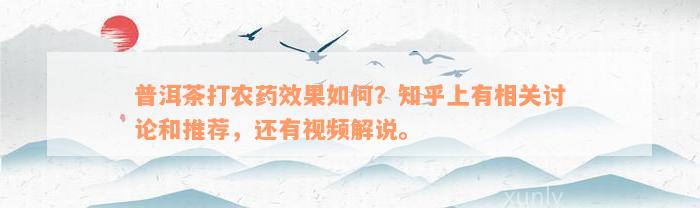 普洱茶打农药效果如何？知乎上有相关讨论和推荐，还有视频解说。