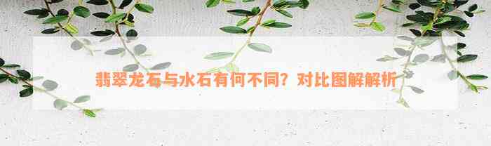 翡翠龙石与水石有何不同？对比图解解析