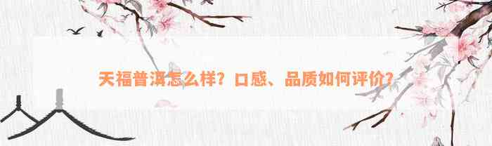 天福普洱怎么样？口感、品质如何评价？