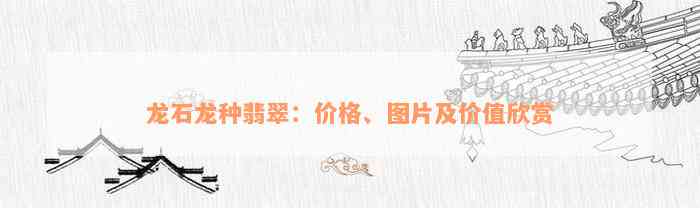 龙石龙种翡翠：价格、图片及价值欣赏