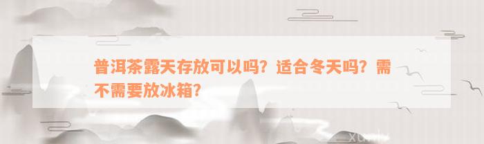 普洱茶露天存放可以吗？适合冬天吗？需不需要放冰箱？