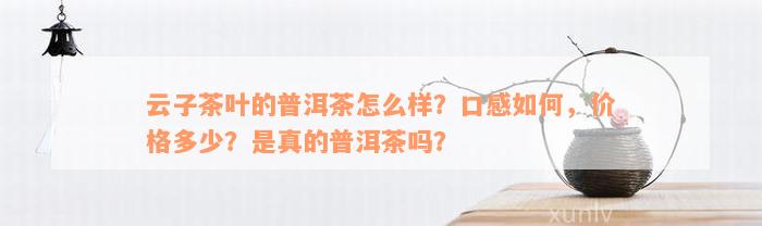 云子茶叶的普洱茶怎么样？口感如何，价格多少？是真的普洱茶吗？