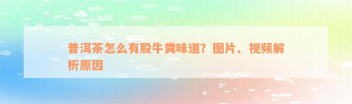 普洱茶怎么有股牛粪味道？图片、视频解析原因