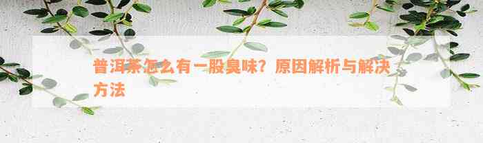 普洱茶怎么有一股臭味？原因解析与解决方法