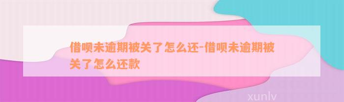 借呗未逾期被关了怎么还-借呗未逾期被关了怎么还款