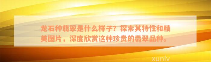 龙石种翡翠是什么样子？探索其特性和精美图片，深度欣赏这种珍贵的翡翠品种。