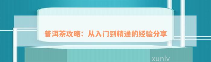 普洱茶攻略：从入门到精通的经验分享