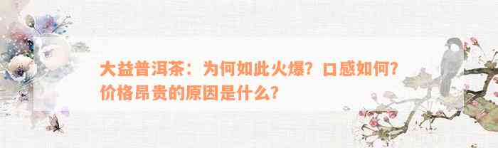 大益普洱茶：为何如此火爆？口感如何？价格昂贵的原因是什么？