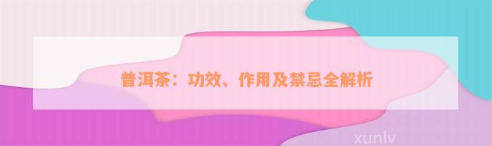 普洱茶：功效、作用及禁忌全解析