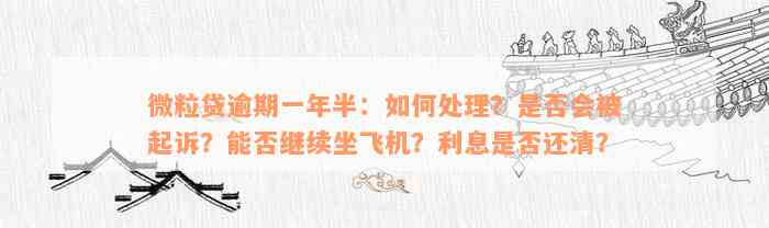 微粒贷逾期一年半：如何处理？是否会被起诉？能否继续坐飞机？利息是否还清？