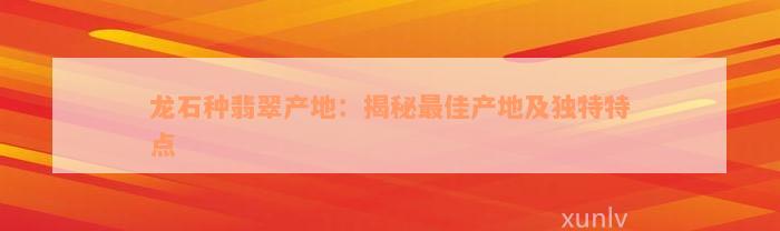 龙石种翡翠产地：揭秘最佳产地及独特特点