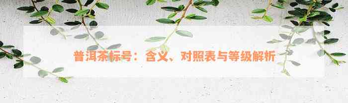 普洱茶标号：含义、对照表与等级解析