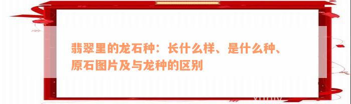 翡翠里的龙石种：长什么样、是什么种、原石图片及与龙种的区别