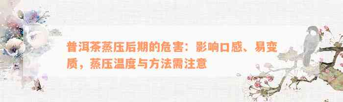 普洱茶蒸压后期的危害：影响口感、易变质，蒸压温度与方法需注意