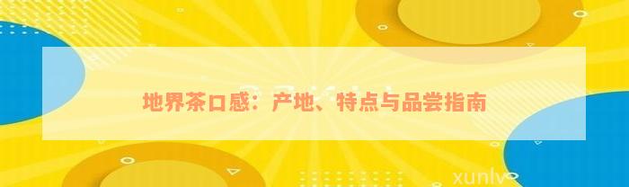 地界茶口感：产地、特点与品尝指南