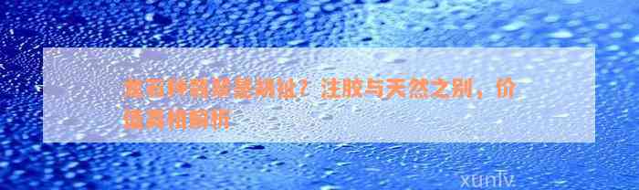 龙石种翡翠是胡扯？注胶与天然之别，价值真相解析