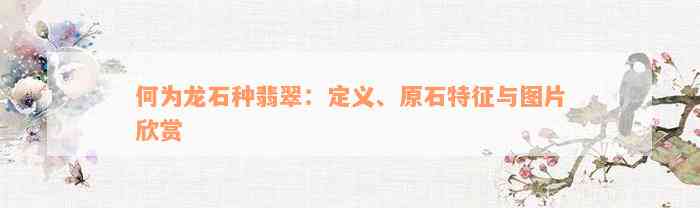 何为龙石种翡翠：定义、原石特征与图片欣赏