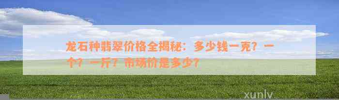 龙石种翡翠价格全揭秘：多少钱一克？一个？一斤？市场价是多少？