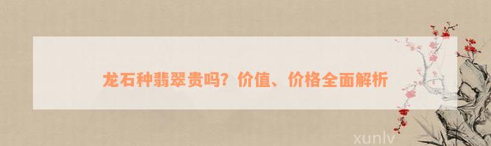 龙石种翡翠贵吗？价值、价格全面解析