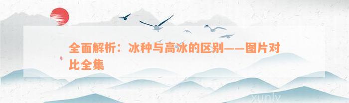 全面解析：冰种与高冰的区别——图片对比全集