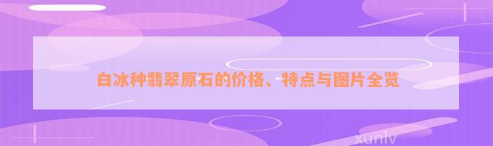 白冰种翡翠原石的价格、特点与图片全览