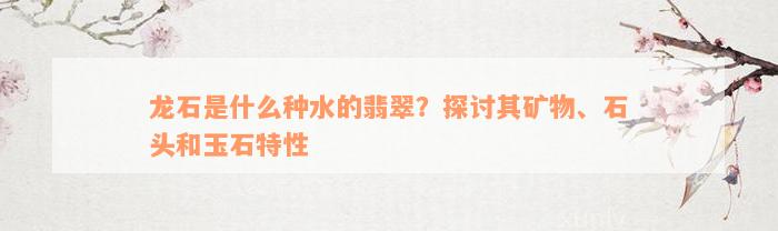 龙石是什么种水的翡翠？探讨其矿物、石头和玉石特性