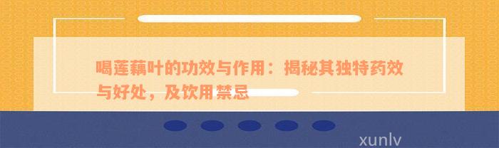 喝莲藕叶的功效与作用：揭秘其独特药效与好处，及饮用禁忌