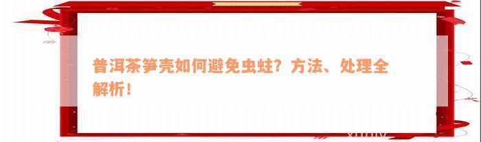 普洱茶笋壳如何避免虫蛀？方法、处理全解析！