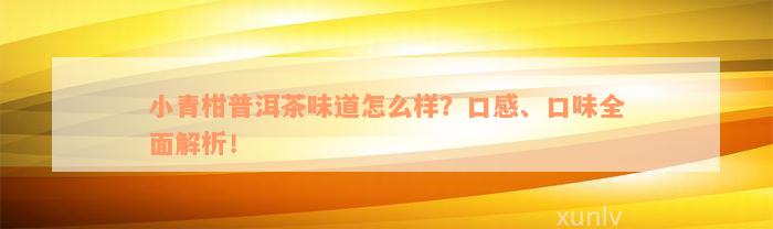 小青柑普洱茶味道怎么样？口感、口味全面解析！