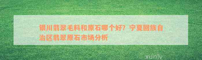 银川翡翠毛料和原石哪个好？宁夏回族自治区翡翠原石市场分析