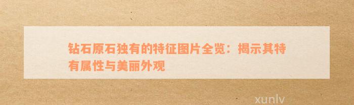 钻石原石独有的特征图片全览：揭示其特有属性与美丽外观