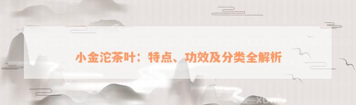 小金沱茶叶：特点、功效及分类全解析