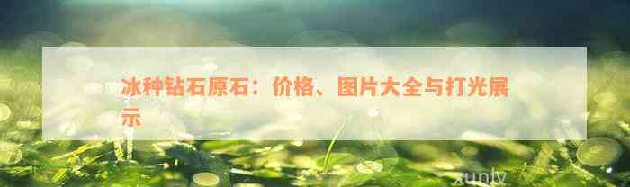 冰种钻石原石：价格、图片大全与打光展示