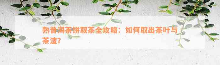 熟普洱茶饼取茶全攻略：如何取出茶叶与茶渣？