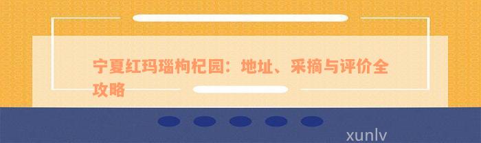 宁夏红玛瑙枸杞园：地址、采摘与评价全攻略