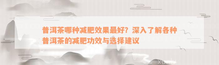 普洱茶哪种减肥效果最好？深入了解各种普洱茶的减肥功效与选择建议