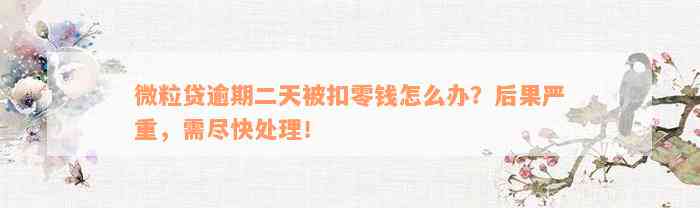 微粒贷逾期二天被扣零钱怎么办？后果严重，需尽快处理！