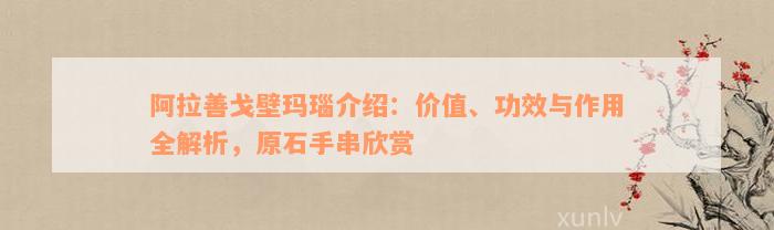 阿拉善戈壁玛瑙介绍：价值、功效与作用全解析，原石手串欣赏